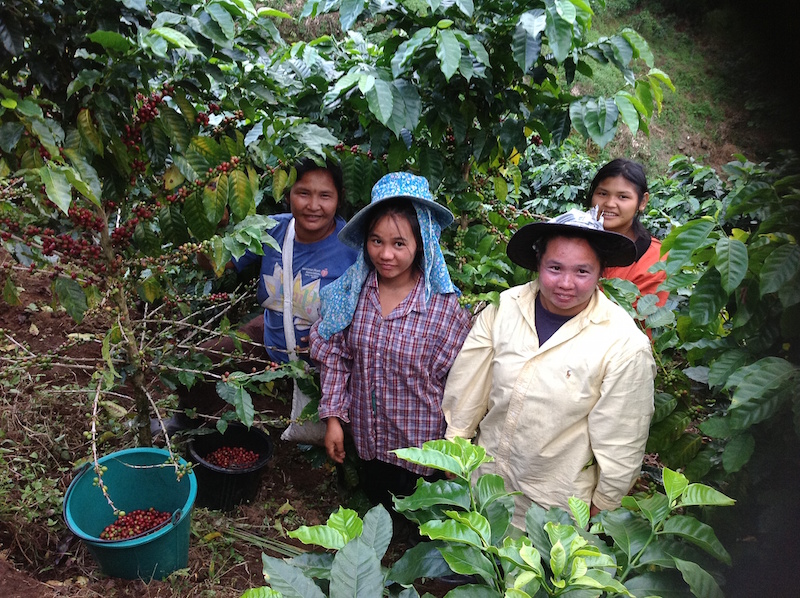 Improve the live of local  coffee and tea  worker