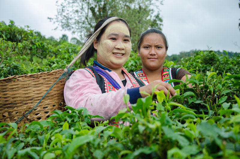 Happy Tea worker
