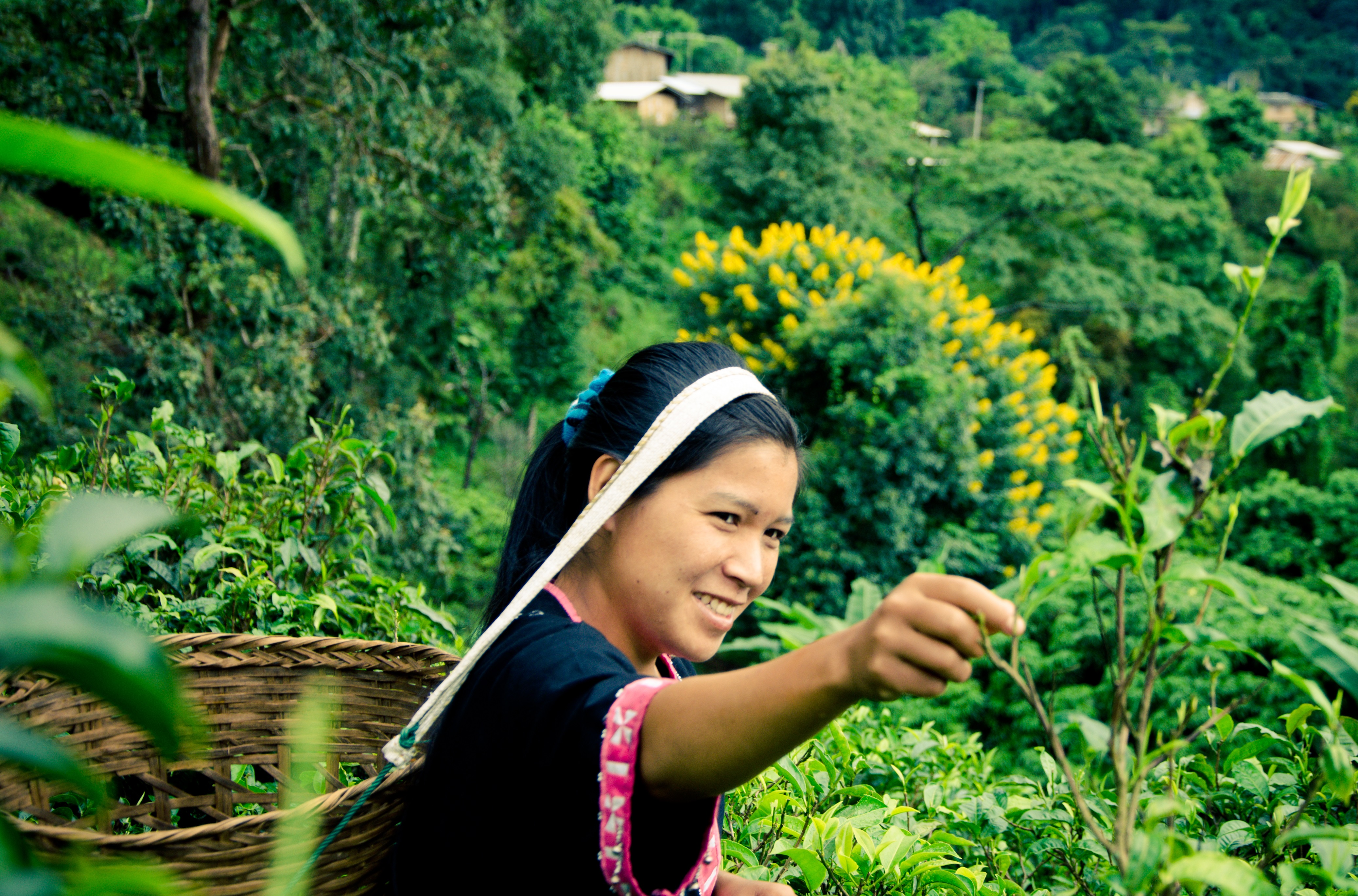 The charm of Pumuen Mountain living