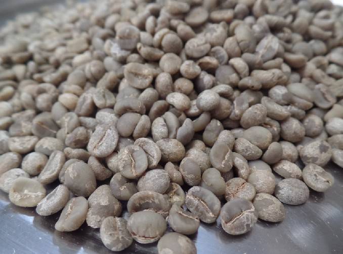 กาแฟสาร Organic เกรด AA