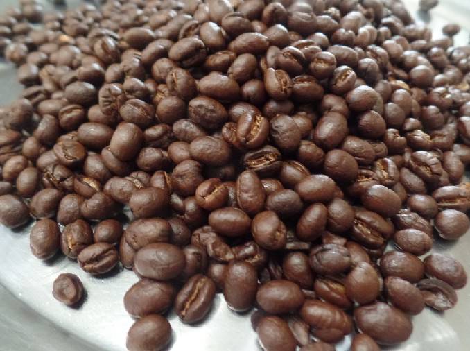 เมล็ดกาแฟอราบิก้าแท้ พีเบอร์รี่ออร์แกนิค คั่วกลาง (ตราดอยปู่หมื่น) 250 กรัม Organic peaberry arabica coffee beans medium roasted (Doi Pumuen Brand) 250g